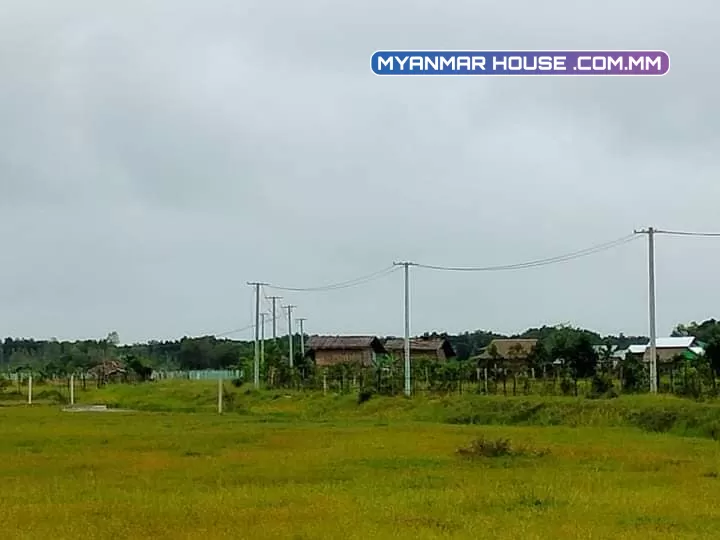 မှော်ဘီ အင်ကြင်းကုန်းအုပ်စု ညောင်ပင်သာယာကျေးရွာတွင် ခြံမြေကွက်များရောင်းမည်.