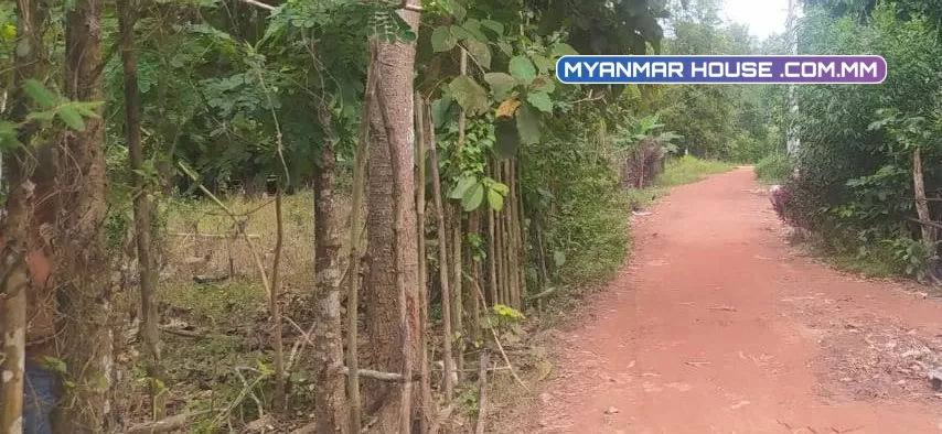 တိုက်ကြီး‌‌ ဖောင်ကြီးလမ်းဘေး မေတ္တာအေးကျေးရွာ ရွာလမ်းမကြီးဘေး
