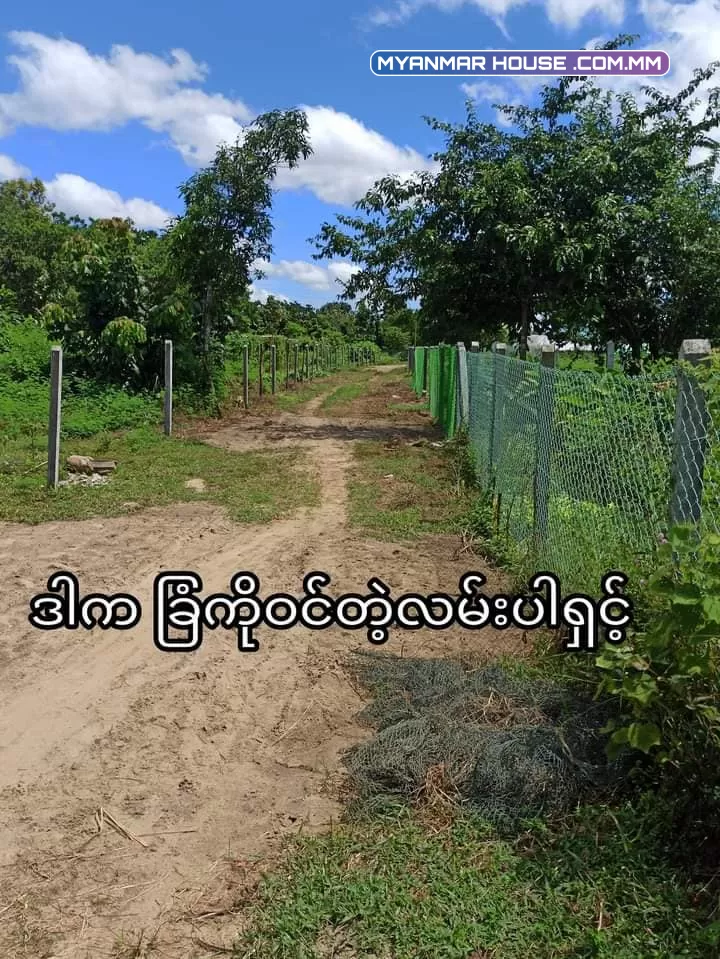 မှော်ဘီမြို့ ၊ညောင်ပင်သာယာကျေးရွာ လမ်းပမ်းဆက်သွယ် ရေးကောင်းမွန်ပြီး အေးချမ်းသာယာသော ဥယျာဥ်ခြံမြေ/ဘိုးဘွားပိုင် (G)မြေ