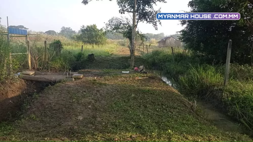 အမြန်ဆုံးရောင်းရန်ရှိပါသည်။ ထန်းတပင်မြို့ ၁ရပ်ကွက်၊ကလိမ်လမ်းနှင့်အပြိုင် ၊ ၃လမ်းမြောက် တောင့်ကွက်