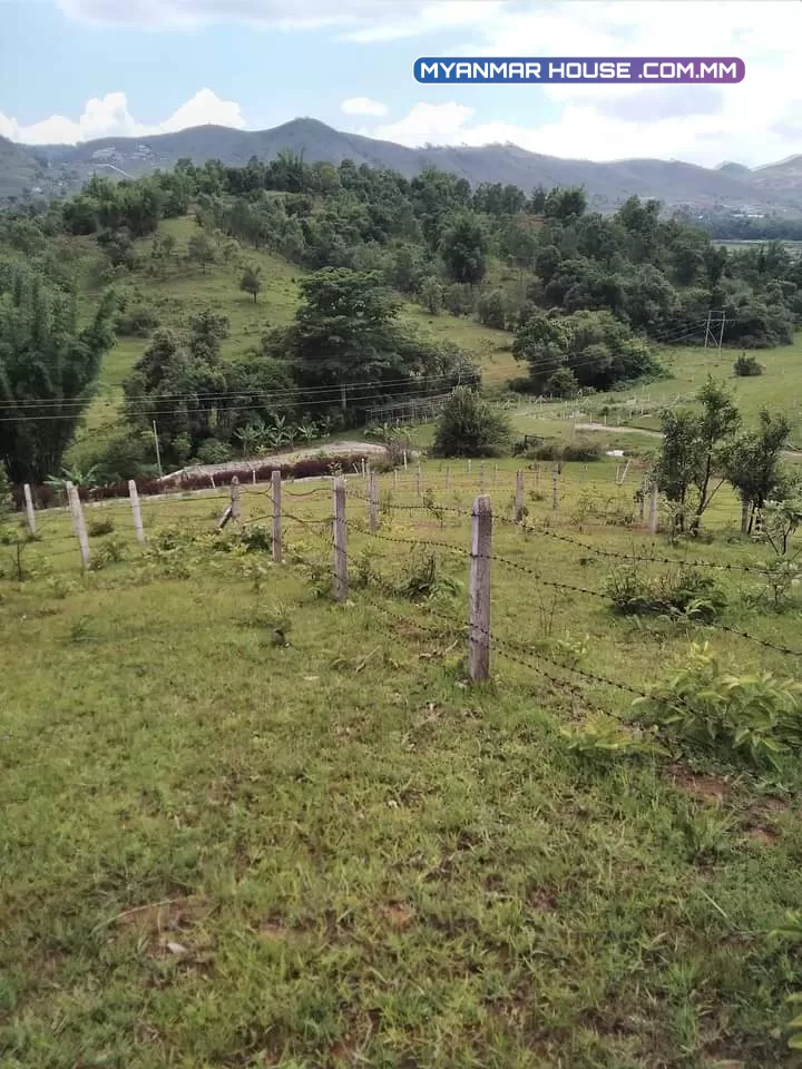တောင်ကြီးအနီးက ပန်သခွား ကောင်းရွေးမြေကွက်လေးရောင်းပါမယ်  ကျောက်တလုံးလမ်းမကြီးရဲ့အနောက်ဘက် ၄ကွက်ငုတ်  Mya market farm စားသောက်ဆိုင်ရဲ့အပေါ်ဘက်  ပေ ၅၀' ၆၀'  မြေကွက်ရှေ့က ပေ၂၀ လမ်းပါ View အရမ်းလှပါတယ်  ဈေး -၁၄၅ သိန်း 