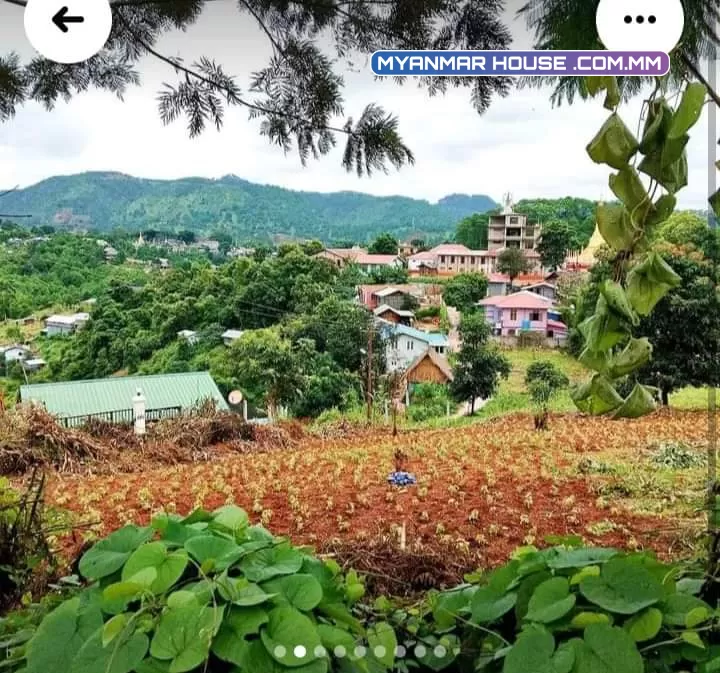 ကလောၿမိဳ့ ရပ္ကြက္ ၉ ၿခံအမှတ္ ၈၈ အမွတ္၂၃၉ ခါေတာ္မှီ လမ္း ေျမအက်ယ္က ေပ ၁၀၀ ပတ္လည္ပါ ၊ ေခၚေစ်းကသိန္း ၂၀၀၀ပါရွင့္