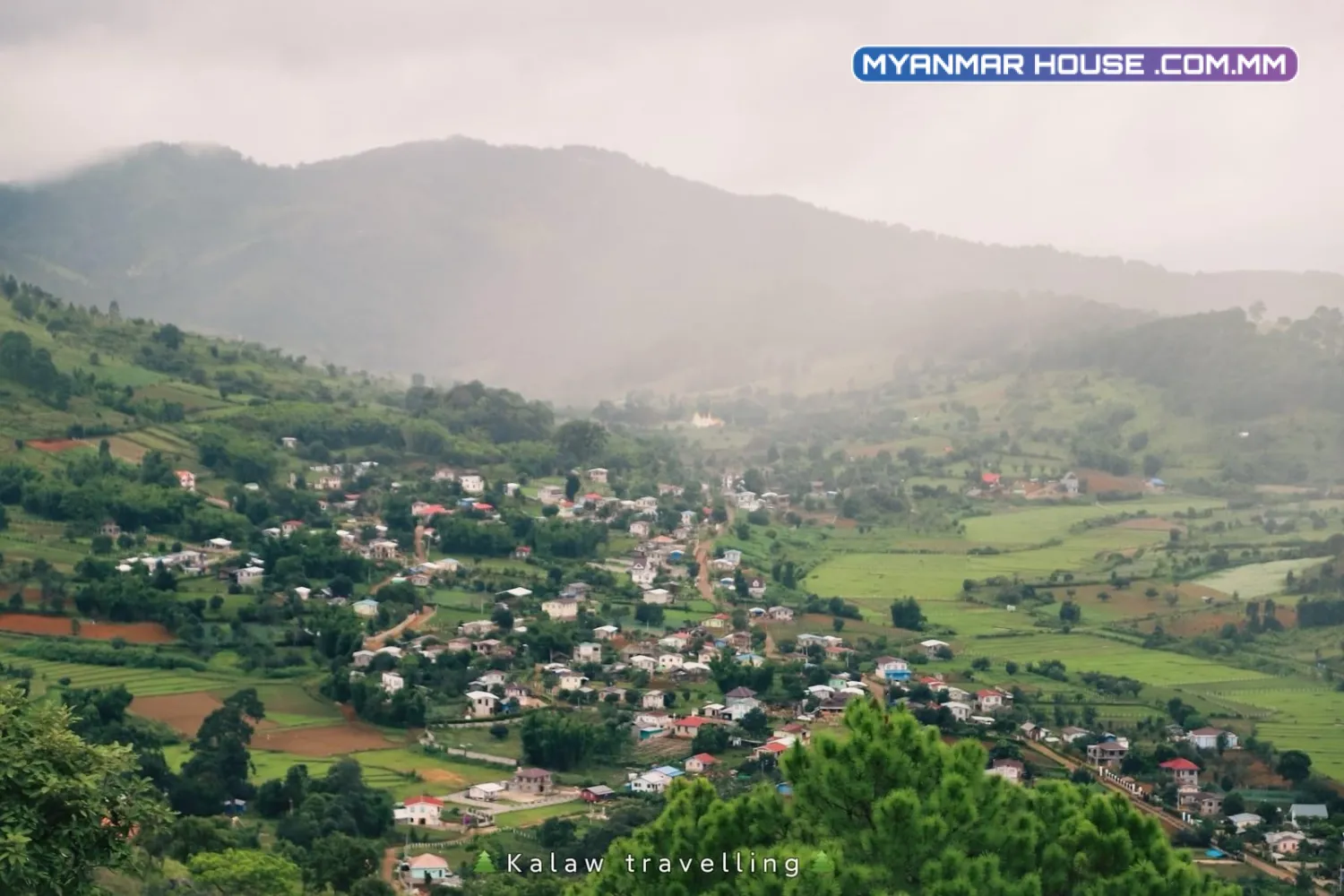 ရောင်းရန် - ခြံ ၊ မြေကွက် - ကလောမြို့ (မြင်းက ပုံစံ-၇) သိန်း ၄၂၀၀ ဖြင့်ရောင်းမည်။