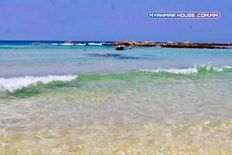 ဥယျာဉ်မြေ