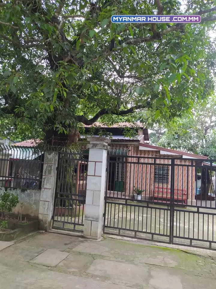 တောင်ဒဂုံရှိ ခြံကျယ်အိမ်အပါ လုံးချင်းအရောင်းလေးပါ