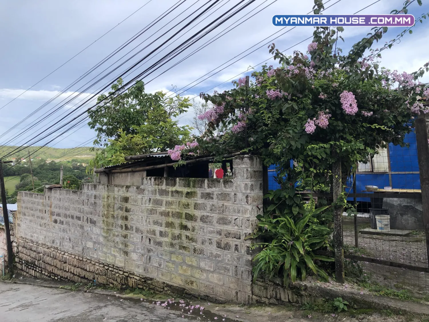 အိမ်ဝိုင်းရောင်းမည်