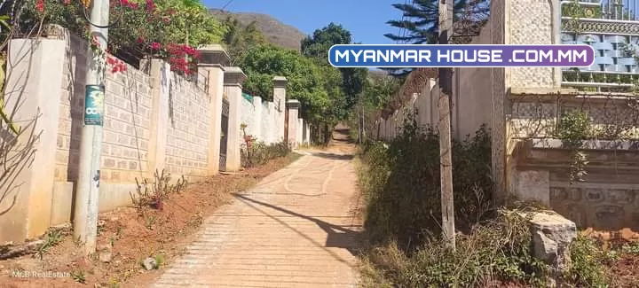 #တောင်ကြီးမြို့ #ပန်သခွား  #ဈေး 200  #အကျယ် 50x50(6ကွက်ရှိပါတယ်)  #သစ်တော နဲ့လွတ်ကြောင်း စာရွက်စာတမ်းပါရှိ  #အရပ်စာချုပ်  #ဈေးသက်သက်သာသာနဲ့ မီးသွယ်ရ လူနေလို့ရတဲ့နေရာ