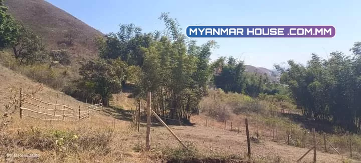 #တောင်ကြီးမြို့ #ပန်သခွား  #ဈေး 200  #အကျယ် 50x50(6ကွက်ရှိပါတယ်)  #သစ်တော နဲ့လွတ်ကြောင်း စာရွက်စာတမ်းပါရှိ  #အရပ်စာချုပ်  #ဈေးသက်သက်သာသာနဲ့ မီးသွယ်ရ လူနေလို့ရတဲ့နေရာ
