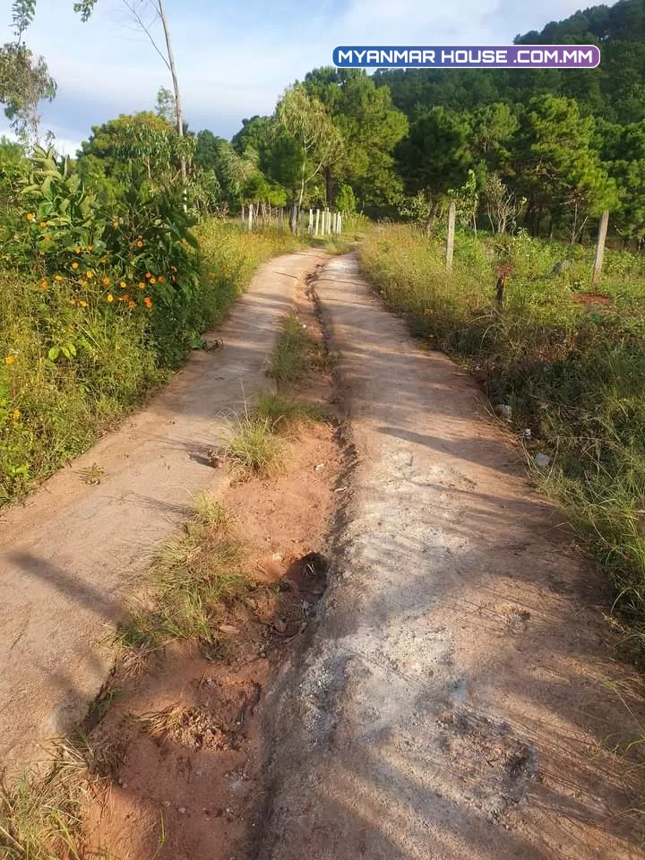 လောမြို့ရဲ့မြေကွက်လေးတစ်ခု အရောင်းတင်ပါရစေ။  တည်နေရာ 👉 ရပ်ကွက် (၁) အကျယ်ဝန်း👉၅၅'×၁၃၀' မြေအမျိုးစား👉သစ်တောကင်းလွတ် ဈေးနှုန်း👉၄၅၀ သိန်း