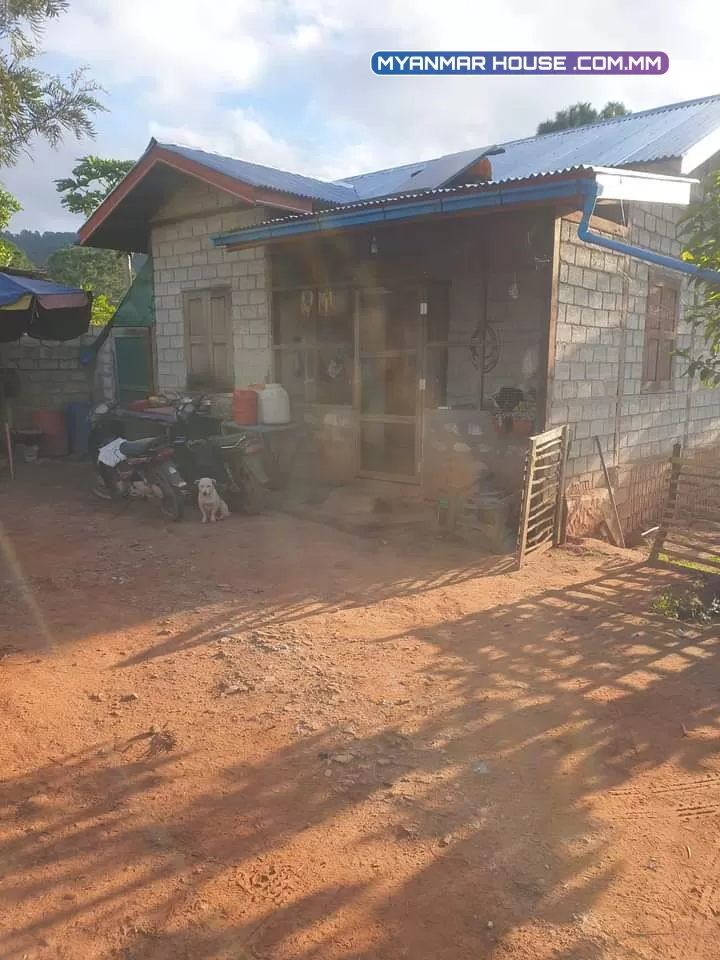 လောမြို့ရဲ့မြေကွက်လေးတစ်ခု အရောင်းတင်ပါရစေ။  တည်နေရာ 👉 ရပ်ကွက် (၁) အကျယ်ဝန်း👉၅၅'×၁၃၀' မြေအမျိုးစား👉သစ်တောကင်းလွတ် ဈေးနှုန်း👉၄၅၀ သိန်း