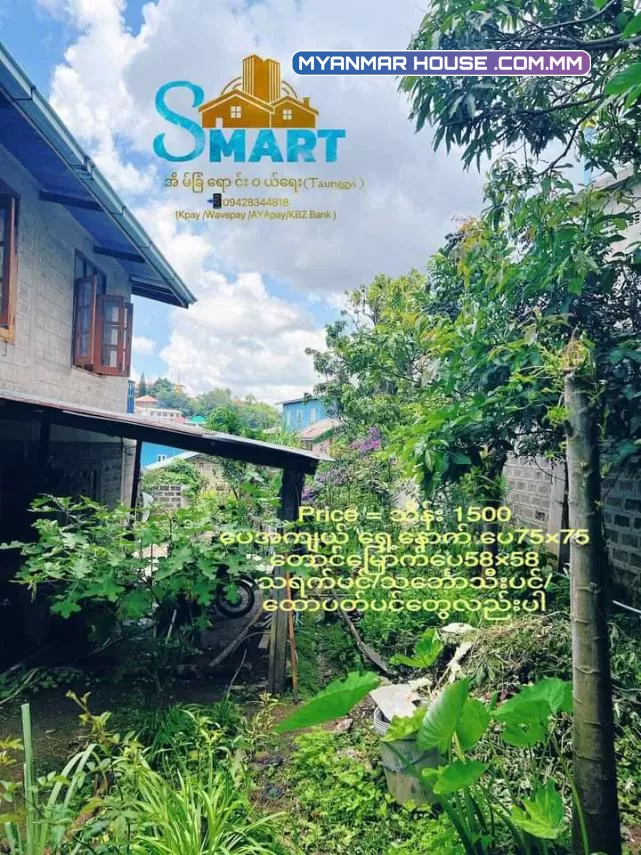 🏙️ရှမ္းျပည္နယ္ေတာင္ႀကီးမွာ ေနခ်င္သူမ်ား အတြက္ ဝါးျပားေတာင္ မုံတဝလမ္း ႏွစ္အိမ္ေက်ာ္ ႏွစ္ထပ္အိမ္ တစ်လုံးပိုင္ဆိုင္ခ်င္သူမ်ားအတြက္  ေျမကြက္အိမ္အပါေရာင္းပါမယ္ဗျ။🙏🏻😊 ေျမကြက္ေပအက်ယ္ေရှ့ ‌ေနာက္ေပ 📏75’x75’ ေတာင္ေျမာက္📏58'×58' Price     = သိန္း 1500💰
