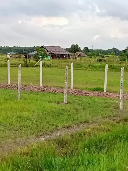 မှော်ဘီ အငိကြင်းကုန်းအုပ်စု ညောင်ပင်သာယာကျေးရွာတွင် ခြံမြေကွက်များရောင်းမည်
