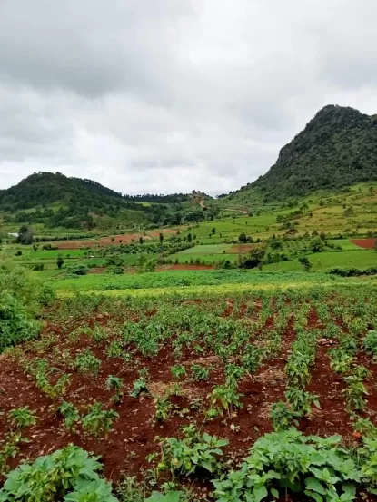 က လောၿမိဳ့ျမင္းမထိရြာတြင္ (၁ဧက )ရွိေသာေျမကြက္ ေရာင္းရန္ရွိပါသည္ ကားလမ္းေပါက္ပီး view လဲရှယ္လှတဲ့ေနရာေလးပါ  ေစ်းႏူန္း👉👉👉၄၀၀ညႇိနိုင္း(ပိုင္ရွင္တိုက္ရိုက္)  ☎☎☎09253351290