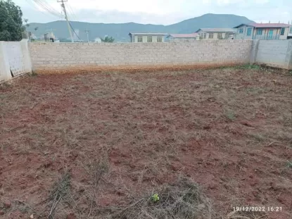 #တောင်ကြီးမြို့  #ကံကြီး #ရွာလယ်လမ်းမကြီးပေါ် #ကံကြီးဘုန်းကြီးကျောင်းအနီး//အကျယ်-၅၀×၅၀  ပိုင်ဆိုင်မှု-အရပ်စာချုပ်  ဈေး-သိန်း(၁၃၀၀)