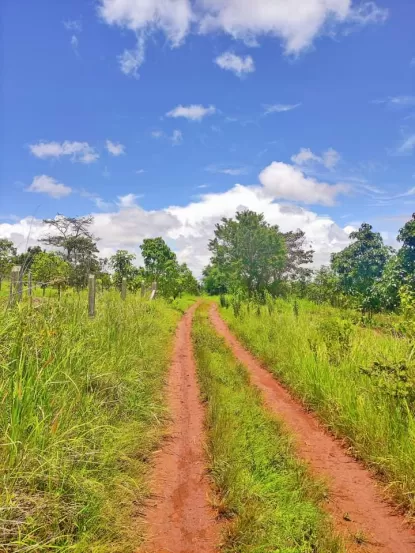 🌲🌲🌲နောင်ကားဈေးနဲ့နီးတဲ့ နောင်ကားဆည်အပေါ်ဘက်နားမှာ  🥑🥑🥑ထောပတ်ခြံဈေးတန်လေး ရောင်းဖို့ရှိပါတယ် 🚗🚗🚗တောင်ကြီးနဲ့ဆို 25မိနစ်သွားရပါမယ်၊ပေ အနံ80+60/// အလျား245+245  ဈေးနှုန်း💰💰💰သိန်း70ပါ