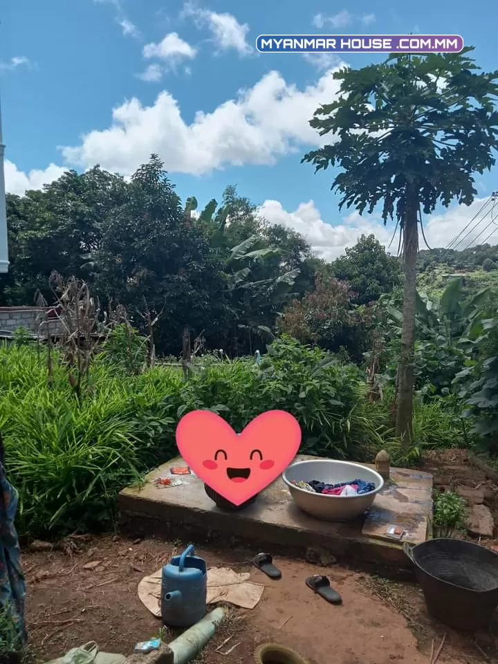 ကလောမြို့ရက်ကွက်(၈) မြတော်ဝင် hotel အနီးတွင် ၅၀x၁၄၀ပေ ရှိသော အိမ်၂လုံးပါ မြေကွက်ရောင်းရန်ရှိပါသည် မြေပိုင်ဆိုင်မှု့👉👉နှစ်(၃၀)ဂရံပါ  ဈေး👉👉၂၂၀၀ (ပိုင်ရှင်တိုက်ရိုက်)
