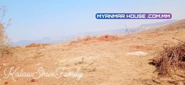 အခုအကျိုးဆောင်ပေးမှာကတော့ကလောမြို့မြင်းမထိမိန်းလမ်းဘေးအရှုပ်ရှင်းကင်းပါတယ်ရှင့်... 🌲စာရွှတ်စာတန်း=ပုံစံ7 🌲ဧရိယာ.ဧက=4.09 🌲ဈေး💵=သိန်း2200ညှိနှိုင်းပါရှင့်