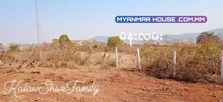 အခုအကျိုးဆောင်ပေးမှာကတော့ကလောမြို့မြင်းမထိမိန်းလမ်းဘေးအရှုပ်ရှင်းကင်းပါတယ်ရှင့်... 🌲စာရွှတ်စာတန်း=ပုံစံ7 🌲ဧရိယာ.ဧက=4.09 🌲ဈေး💵=သိန်း2200ညှိနှိုင်းပါရှင့်