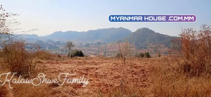 အခုအကျိုးဆောင်ပေးမှာကတော့ကလောမြို့မြင်းမထိမိန်းလမ်းဘေးအရှုပ်ရှင်းကင်းပါတယ်ရှင့်... 🌲စာရွှတ်စာတန်း=ပုံစံ7 🌲ဧရိယာ.ဧက=4.09 🌲ဈေး💵=သိန်း2200ညှိနှိုင်းပါရှင့်