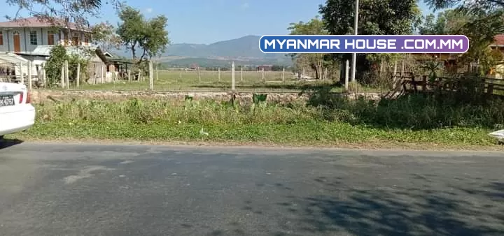 #ရွှေညောင်<>#ညောင်ရွှေလမ်းမကြီးဘေး ကျိုင်းတုံငါးကန်အနီး 80×80 ပါတ်လည်ပေ ရောင်းမည် 650 သိန်း