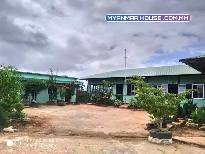 တောင်ကြီးအနီးဟဲဟိုးလေယာဉ်ကွင်းနားဆည်ပတ်ဝန်းကျင်ကိုပိုင်ကျောင်း ၁၈၀၀သိန်း အရစ်ကျနဲ့ ငွေချန် အဆင်ပြေသလို ပိုင်ရှင်တိုက်ရိုက်ညှိနိုင်းအရောင်းပါ