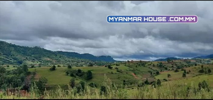 ကလောမြို့ကနေ မိနစ္ ၃၀ ခန္႔ကားျဖင့္ေမာင္းရတဲ့ ​ေအးခ်မ္းသာယာတဲ့​ေနရာ​ေလးမှာ ​ေစ်းသက္သာစြာ​ေနခ်င္ရင္ သည္​ေျမကွက်ကသင့်တော်ပါတယ်။
