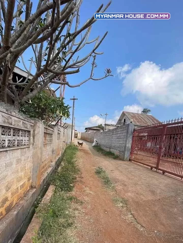 #ေတာင္ႀကီးၿမိဳ့ (ဘုရားျဖဴ နမ-၅) ပန္းသစၥာလမ္းသြယ္ #ပုံစံ(၁၀၅) ပါပီး