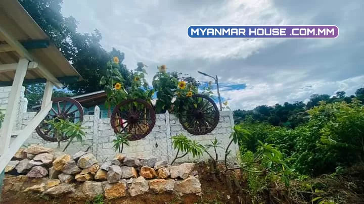 ပိုင်ရှင် ကျွန်မ ကိုယ်တိုင်ရောင်းမည်။ ရပ်ကွက်(၉)၊နှီးဘုရားလမ်းသွယ်(၃)၊ ကလောမြို့  Cafe Kalaw နား ပေ၄၀*ပေ၅၀/105မြေ//ဈေးနှုန်း-သိန်း၁၂၀၀ကျပ်