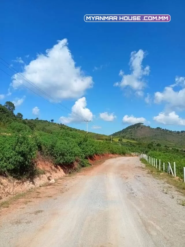 ကလောမြို့ မြင်းမထီတွင် ၁.၅၀ ဧက ရောင်းရန် ပိုင်ဆိုင်မူ့ =ပုံစံ ၇ ပုံစံ၁၀၅ အမည်ပေါက် လမ်းမေတင်အကွက် ခြံရှေ့ လမ်းမီးတိုင်ရှိ//ဈေး = သိန်း ၆၀၀ညှိနိူင်း 