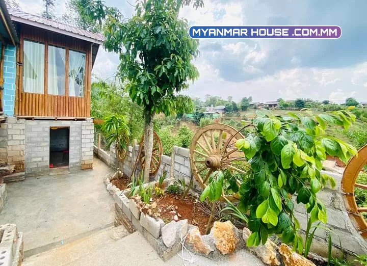 ပိုင်ရှင် ကျွန်မ ကိုယ်တိုင်ရောင်းမည်။ ရပ်ကွက်(၉)၊နှီးဘုရားလမ်းသွယ်(၃)၊ ကလောမြို့  Cafe Kalaw နား ပေ၄၀*ပေ၅၀/105မြေ//ဈေးနှုန်း-သိန်း၁၂၀၀ကျပ်