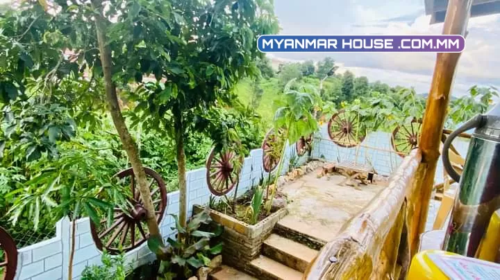 ပိုင်ရှင် ကျွန်မ ကိုယ်တိုင်ရောင်းမည်။ ရပ်ကွက်(၉)၊နှီးဘုရားလမ်းသွယ်(၃)၊ ကလောမြို့  Cafe Kalaw နား ပေ၄၀*ပေ၅၀/105မြေ//ဈေးနှုန်း-သိန်း၁၂၀၀ကျပ်