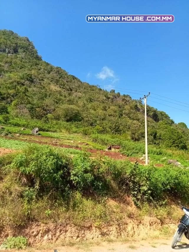 ကလောမြို့ မြင်းမထီတွင် ၁.၅၀ ဧက ရောင်းရန် ပိုင်ဆိုင်မူ့ =ပုံစံ ၇ ပုံစံ၁၀၅ အမည်ပေါက် လမ်းမေတင်အကွက် ခြံရှေ့ လမ်းမီးတိုင်ရှိ//ဈေး = သိန်း ၆၀၀ညှိနိူင်း 