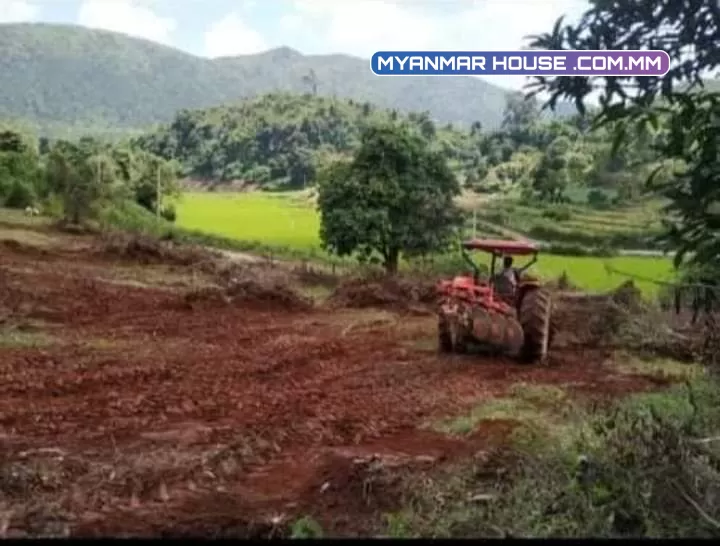 ကလောမြို့ နန်းသဲရွာ ရပ်ကွက်၁၁ မြေအကျယ်ကမျက်နှာစာပေ၈၀ နှစ်ဖက် အလျားကပေ၄၀၀နှစ်ဖက် ဂရံမြေပါရှင့်//သိန်း၄၃၀၀ပါရှင့်