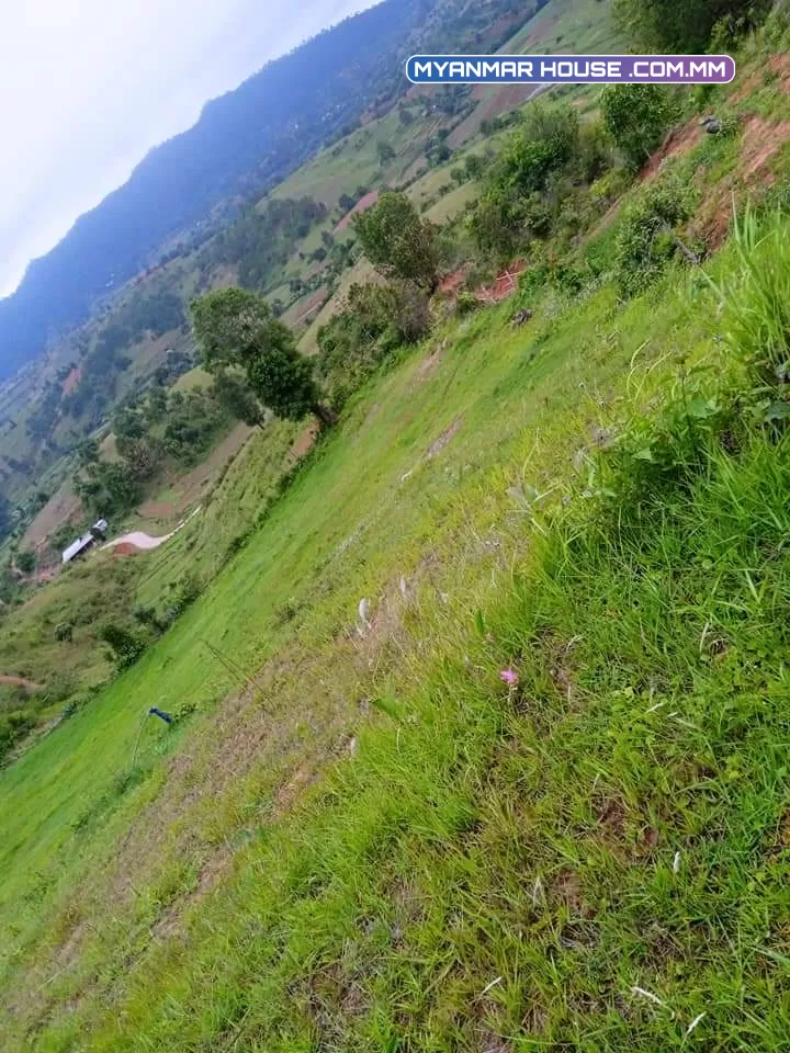 ကလော ၿမိဳ့နယ္ ျမင္းဒိုက္ဘူတာ ရြာပုရြာ ဘိုးဘွားပိုင္ေျမ ၊ ေပ ၁၅၀၀ ပတ္လည္ ေတာင္သူအေခၚ ၂ ဧက သိန္း ၄၅၀