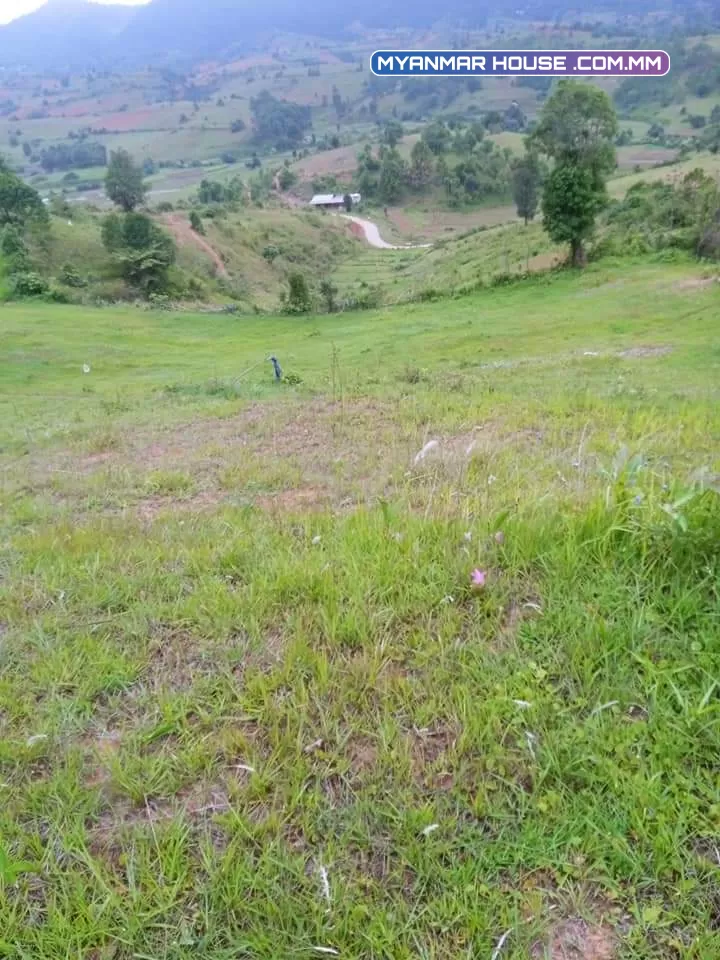 ကလော ၿမိဳ့နယ္ ျမင္းဒိုက္ဘူတာ ရြာပုရြာ ဘိုးဘွားပိုင္ေျမ ၊ ေပ ၁၅၀၀ ပတ္လည္ ေတာင္သူအေခၚ ၂ ဧက သိန္း ၄၅၀