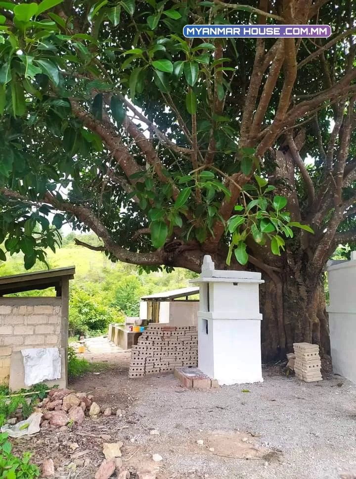 ရှမ္းျပည္နယ္ေတာင္ပိုင္ ေတာင္ႀကီးၿမိဳ့နယ္ ဆင္ေတာင္ ေက်းရြာဘက္ ေပ ၄၀ ၆၀ ကို လက္ငင္း ၁၂သိန္း ပါရွင့္ လာေရာက္ဆက္သြယ္ေမးျမန္ဝယ္ယူနိုင္ပါတယ္ရွင့္