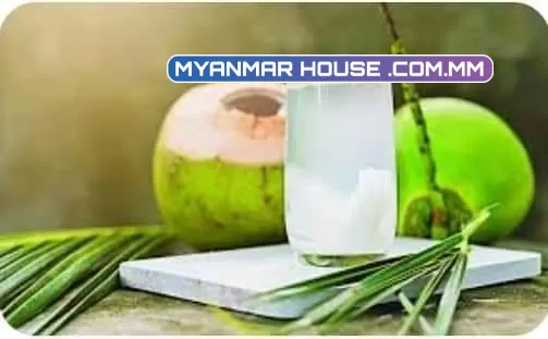 အုန်းရည်ကို အပင်တွေမှာ အသုံးပြုလို့ရနိုင်သလား