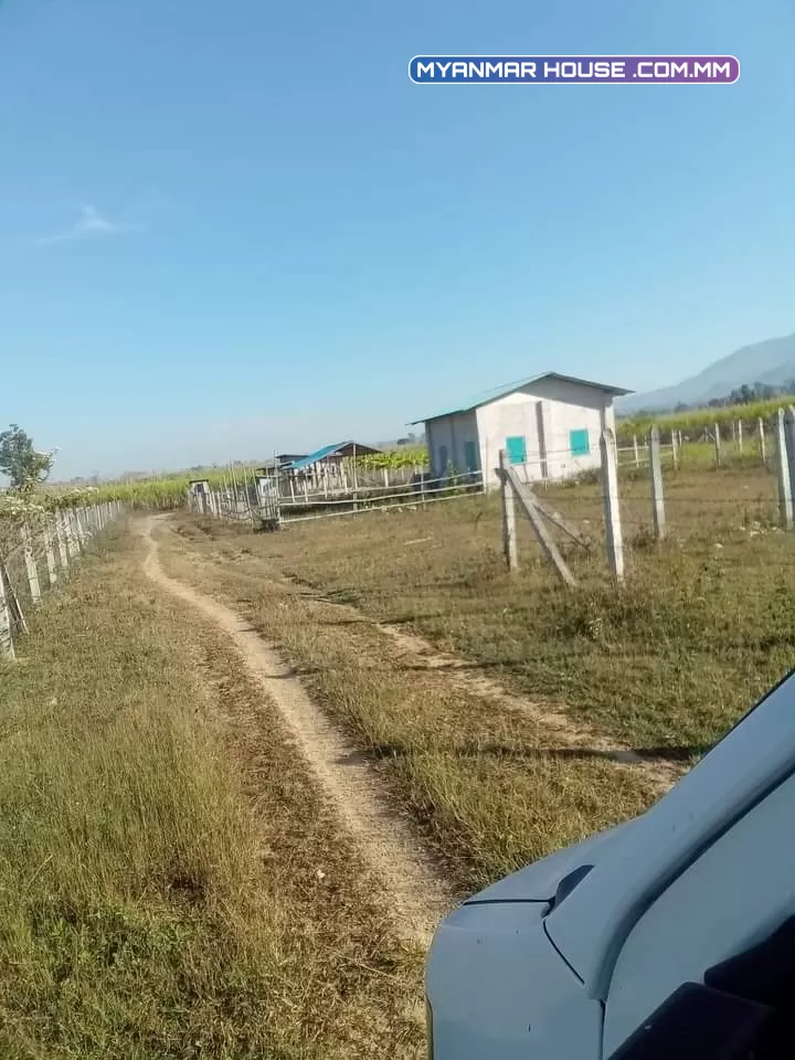 စိုက်ပျိုးရွာမြောက်ဘက် ပေ၅၀.ပေ၄၀.ပုံစံ၁၀၅. ရှိမြေပေါ်  ပေ၂၀ ပေ၄၀အဆောက်ဦးကြမ်းပါ.... ဈေး...၇၅..သိန်း