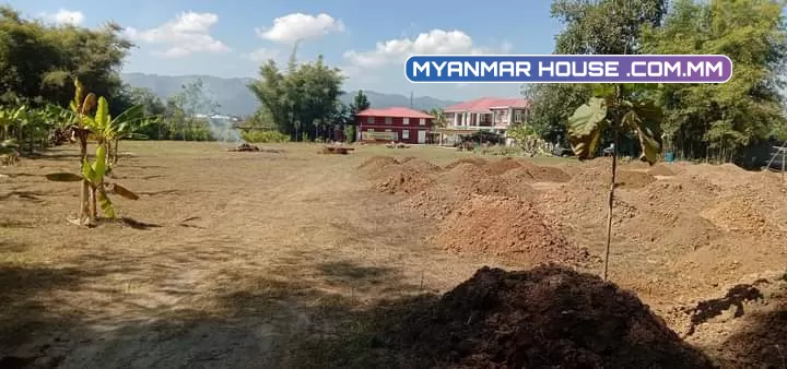 ညောင်ရွှေမြို့ ဘုရားကြီး မြို့ရှောင်လမ်းဘေး  220 ×340  ပေ လမ်း ၃ ဘက်ပွင့်ထောင့်ကွက်ရောင်းပါ မည်/5000 သိန်း (အလျှော့အတင်းရှိပါမယ်)။