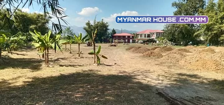 ညောင်ရွှေမြို့ ဘုရားကြီး မြို့ရှောင်လမ်းဘေး  220 ×340  ပေ လမ်း ၃ ဘက်ပွင့်ထောင့်ကွက်ရောင်းပါ မည်/5000 သိန်း (အလျှော့အတင်းရှိပါမယ်)။