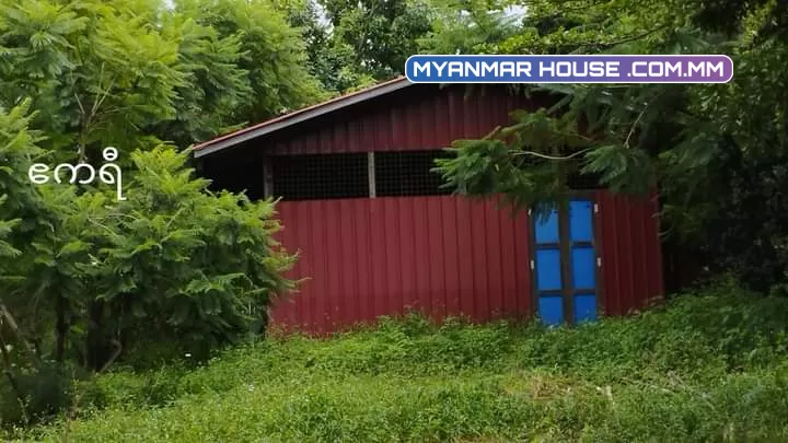 အောင်ပန်းမြို့လှည်းရိုး နှစ် 30 ဂရမ် 0.36 ဧက ပုံပါနှစ်ထပ်တိုက်အကြီးတလုံး သွပ်အိမ်သေးလေးတလုံး ရေမီးအစုံနဲ့ပါ သိန်း (2700) ပိုင်ရှင်တိုက်ရိုက်ဈေးပါနော် 09796558622.09687452014 ဆက်သွယ်ဝယ်ယူနိုင်ပါတယ်ရှင်