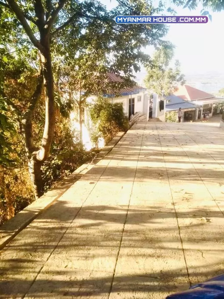 တောင်ကြီးမြို့ရှိ ခေတ်မှီလှပသော  နှစ်ထပ်တိုက်တစ်လုံးကို သင့်တင့်သောဈေးနဲ့ ရောင်းပါမည်။  တည်နေရာ - (နမ-၇)ည/၃၇၄၊ အောင်သိဒ္ဓိလမ်း၊ ညောင်ဖြူစခန်းရပ်ကွက်၊ တောင်ကြီးမြို့။  အိမ်အမျိုးအစား - RC နှစ်ထပ်တိုက်။ခေါ်ဈေး  -  ကျပ်သိန်း 800 အလျောအတင်းပါးပါးရှိမယ်နော်📞📞📞