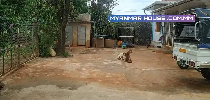 အိမ်လေးအရောင်းတင်ချင်လို့ပါ  တောင်ကြီးမြို့ အေးသာယာမှာပါ ။အေးသာယာ express ကားကြီးဝင်းအလွန်တင်ပါ ကားလေးဝင်းနဲ့လည်းအနီးလေးပါ ခြံအကျယ် ပေ ၆၀ ၇၅  ဈေးကတော့ ၈၅၀ ညှိနှိုင်းပါရှင့် 