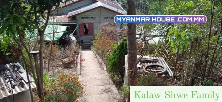 ကလော ၇ရက်ကွက် မိန်းလမ်းဘေးတင်🌿 ပုံစံ ၁၀၅ပါ မျက်နှာစာ65* အနောက် 65 တောင် 78   *    မြောက် 95  ဈေး-800 (ညှိနှိုင်း)