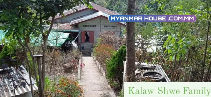 ကလော ၇ရက်ကွက် မိန်းလမ်းဘေးတင်🌿 ပုံစံ ၁၀၅ပါ မျက်နှာစာ65* အနောက် 65 တောင် 78   *    မြောက် 95  ဈေး-800 (ညှိနှိုင်း)