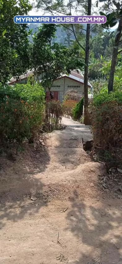 ကလော ၇ရက်ကွက် မိန်းလမ်းဘေးတင်🌿 ပုံစံ ၁၀၅ပါ မျက်နှာစာ65* အနောက် 65 တောင် 78   *    မြောက် 95  ဈေး-800 (ညှိနှိုင်း)