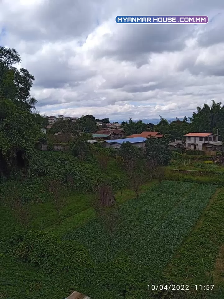 အိမ်အပါ  မြေကွက်ရောင်းရန်ရှိ  တောင်ကြီးမြို့  ဘုရားဖြူရပ်ကွက် နယ်မြေ(၈) ပင်စိမ်းပင်  ပိတောက်လမ်း  /ဈေးကတော့   သိန်း  (၃၀၀)ရောင်းပါမယ်ဗျ