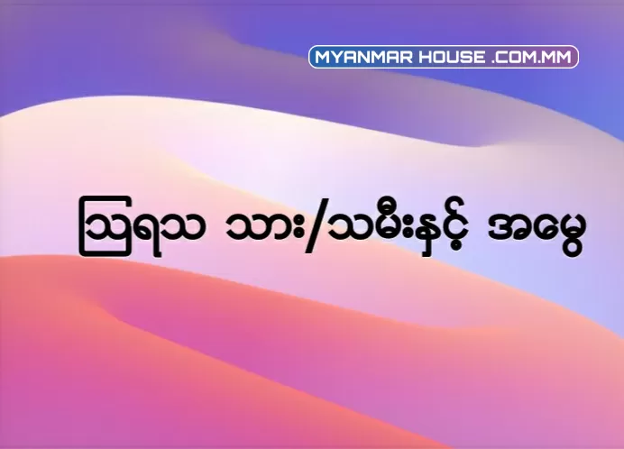 ကျွန်မတို့မှာ မောင်နှမ ၅ ယောက်ရှိပါတယ် ။ မိဘများမရှိတော့ပါ။ မိဘရဲ့ အိမ်ခြံမြေကို အမွေခွဲမယ်လုပ်တော့ အကိုအကြီးဆုံးက သူဟာ သြရသဖြစ်တဲ့အတွက် အမွေဝေစု ပိုရသင့်တယ်လို့ ပြောနေ ပါတယ် ။ အဲဒါ တကယ်ဟုတ်ပါသလား ။