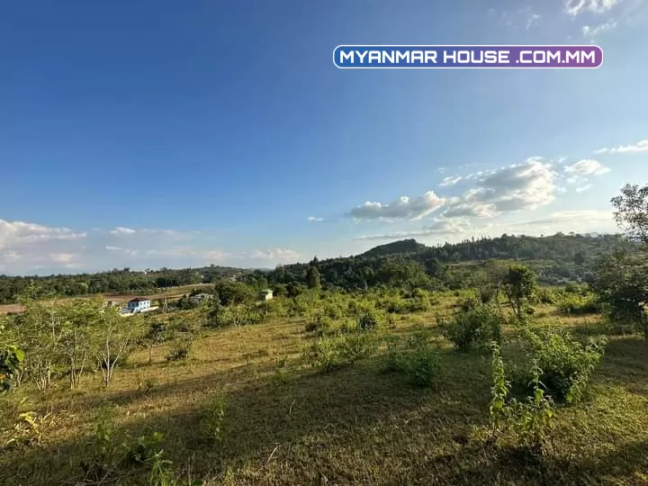 ⛰️ လွယ်ကောင်း ဧကကွက် ရောင်းမည့် တောင်ကြီးမြို့နဲ့ မိနစ် (၂၀)ကျောက်တလုံးလမ်းမကြီး အကွက်ကျယ် တကွက်ငုတ်. //⛰️ တောင် နဲ မြှောက် ပေ -( ၈၀၀ )  ⛰️ ရှေ့ နဲ နောက် ပေ -( ၁၄၀ 💸 ဈေးနူန်း သိန်း -( ၃၇၀၀ )