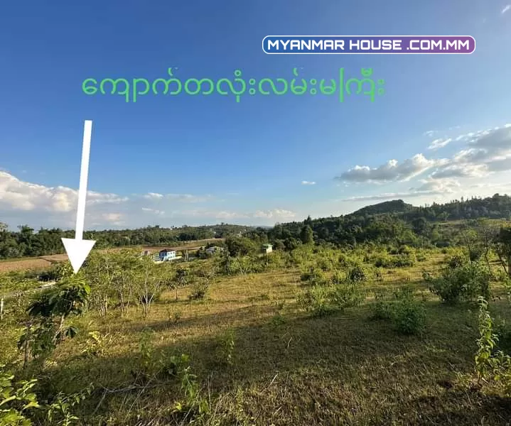 ⛰️ လွယ်ကောင်း ဧကကွက် ရောင်းမည့် တောင်ကြီးမြို့နဲ့ မိနစ် (၂၀)ကျောက်တလုံးလမ်းမကြီး အကွက်ကျယ် တကွက်ငုတ်. //⛰️ တောင် နဲ မြှောက် ပေ -( ၈၀၀ )  ⛰️ ရှေ့ နဲ နောက် ပေ -( ၁၄၀ 💸 ဈေးနူန်း သိန်း -( ၃၇၀၀ )